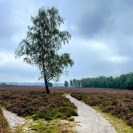 Huisje Aan De Bosrand - Veluwe เอเปอ ภายนอก รูปภาพ
